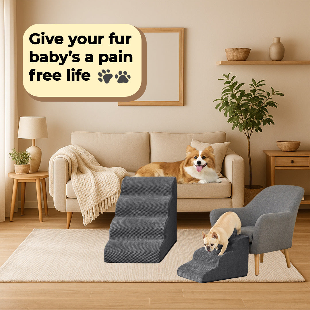 EasyUp™: Pet Stairs
